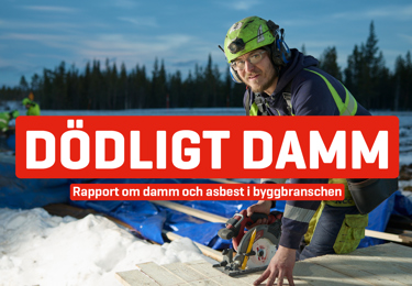 Rapport, dödligt damm